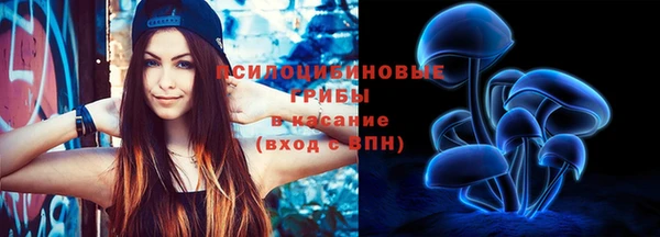 шишки Навашино