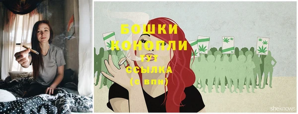 крисы Наволоки