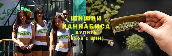 крисы Наволоки
