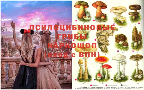 спайс Анжеро-Судженск