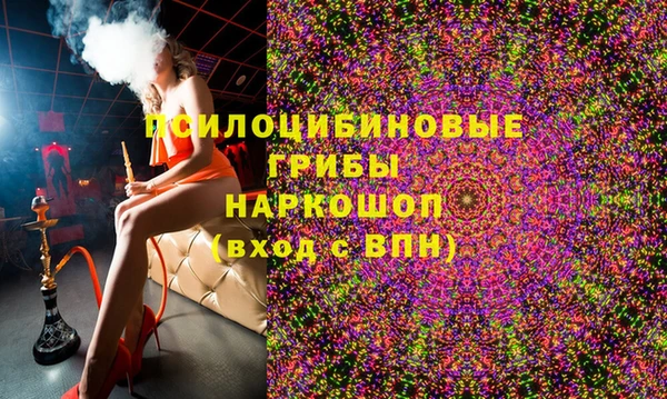 крисы Наволоки