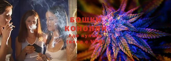 крисы Наволоки