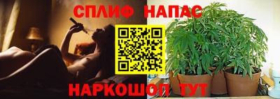 мяу мяу мука Бугуруслан