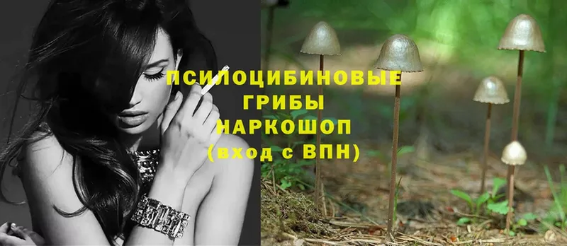 Галлюциногенные грибы MAGIC MUSHROOMS  наркотики  Звенигород 