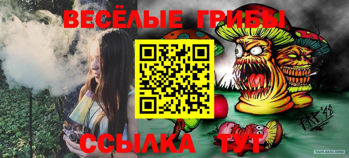 Псилоцибиновые грибы MAGIC MUSHROOMS Звенигород