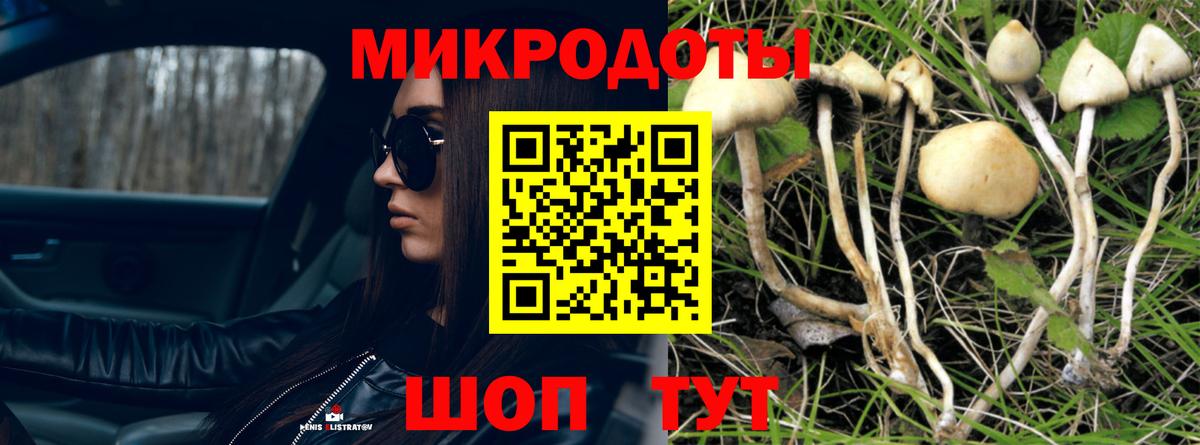 Псилоцибиновые грибы MAGIC MUSHROOMS  Вход с VPN  Псилоцибиновые грибы мицелий  Звенигород 
