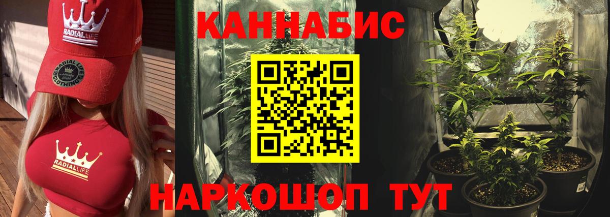 Звенигород  Марихуана Ganja  Вход с VPN  МАРИХУАНА Ganja  Каннабис VHQ 
